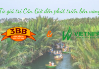 CÂU CHUYỆN HỢP TÁC 3BB &amp; VIETNIPA