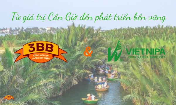CÂU CHUYỆN HỢP TÁC 3BB &amp; VIETNIPA